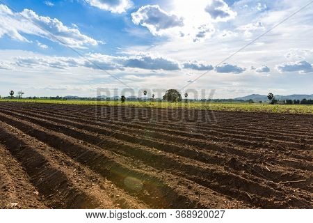 Rows Of Soil Before Planting. Furrows Row Pattern In A Plowed Field Prepared For Planting Crops In S