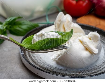 Eating Of Fresh Handmade Soft Italian Cheese From Puglia, White Balls Of Burrata Or Burratina Cheese