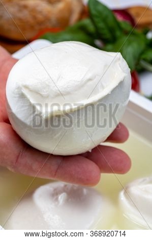 Cheese Maker Holding In Hand Fresh Handmade Soft Italian Cheese From Campania, White Balls Of Buffal