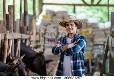 Asian Farmer With Wagyu - Japanese Shorthorn, Portrait Of A Wagyu Cow Of Japanese Origin In Farm Tha