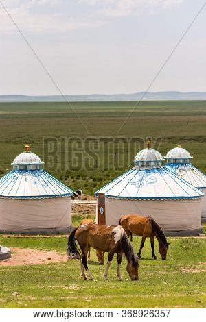 Horses Grazing Next To The Yurt Tents In Steppes Of Inner Mongolia, China
