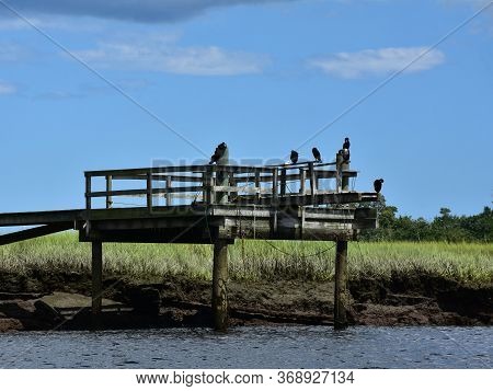 Scenic Wooden Dock Over A Tidal Marsh And River.