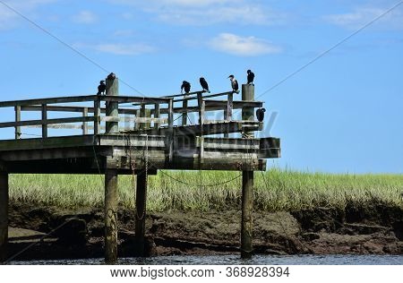 Beautiful View Of A Marsh Embankment And A Pier With Birds On It.