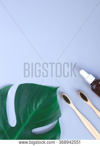 The Concept Of Zero Waste. Bamboo Toothbrush, Monstera Leaf