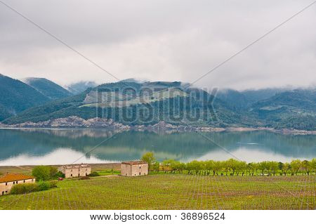 Nebbia mattutina