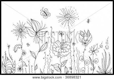 wild flowers