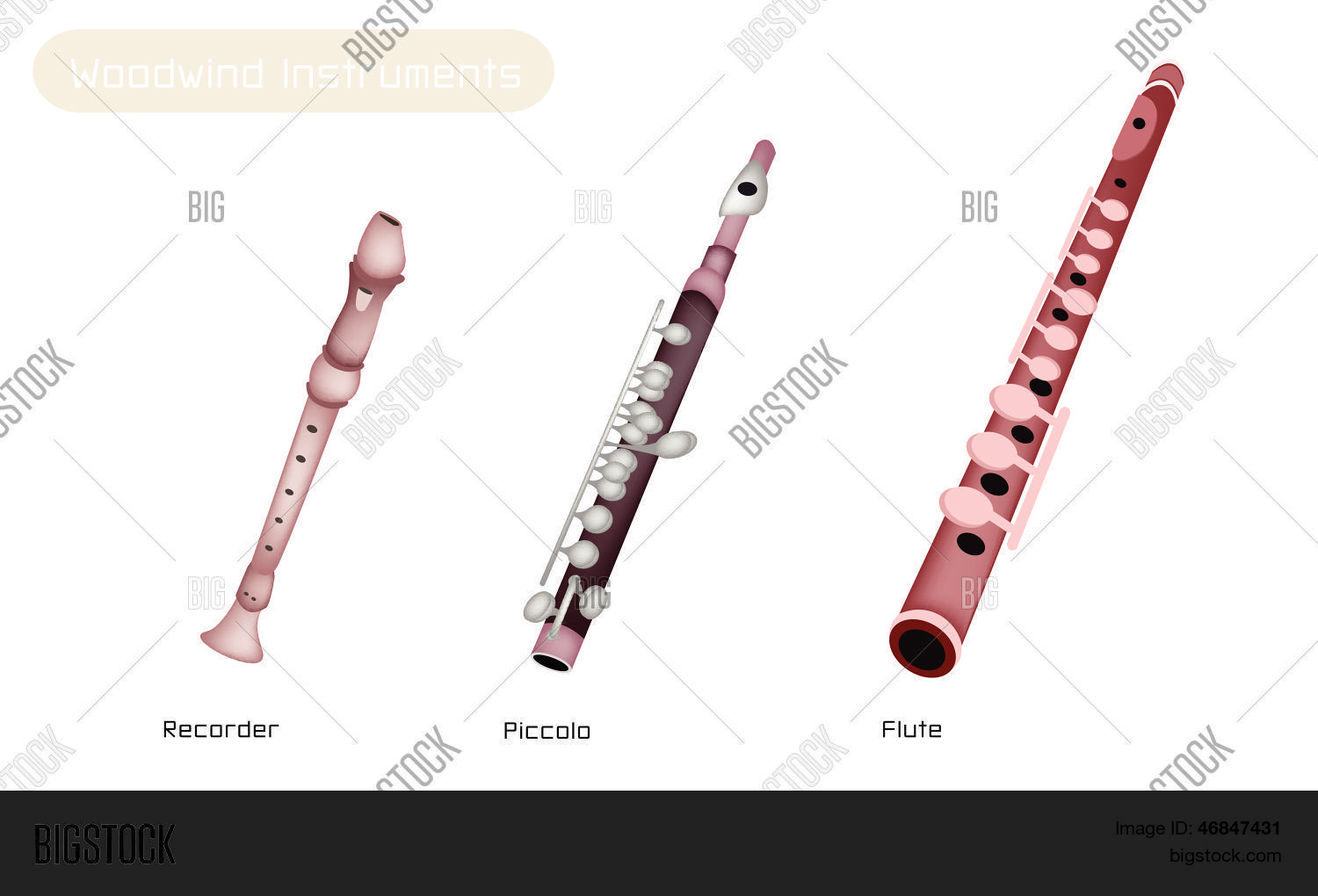 Musical instruments flashcards for kids. Recorder перевод с английского. муз инструмент recorder перевод. Recorder перевод с английского. флейта-пикколо деревянный духовой музыкальный инструмент.