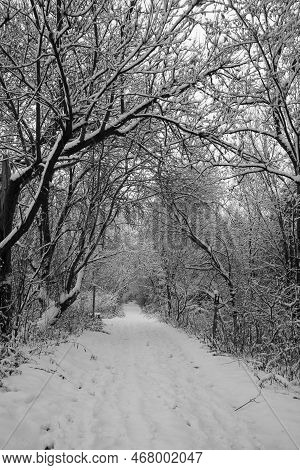 Nice Winter Landscape In The Estrie Region Of Quebec, Canada