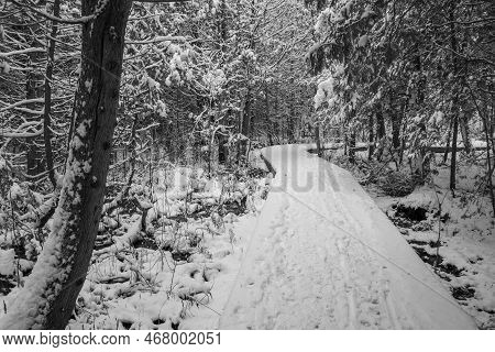 Nice Winter Landscape In The Estrie Region Of Quebec, Canada