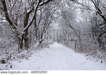 Nice Winter Landscape In The Estrie Region Of Quebec, Canada
