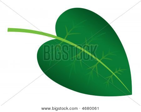 Green Leaf
