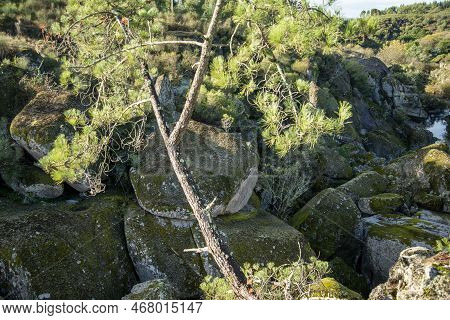 Portugal Alentejo Sume