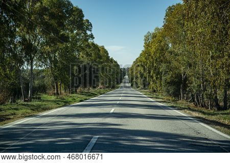 A Overland Road Near The Village Of Viana Do Alentejo In Alentejo In  Portugal.  Portugal, Viana Do 