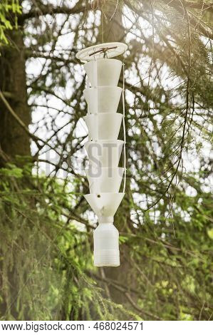Trap For Insects And Beetles. A Trap For Pests And Insects Hangs On A Tree In The Garden. Catching A