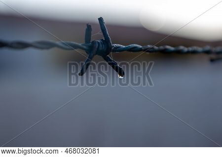 Barbed Wire. Element Image & Photo (Free Trial) Bigstock