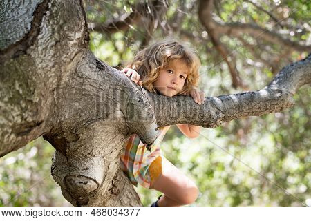 Child Hugging A Tree Branch. Little Boy Kid On A Tree Branch. Kid Climbs A Tree. Active Kid Playing 