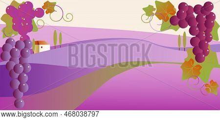 Vineyard Landscape With Branches Grapes. Natural Wine. Grape Varieties