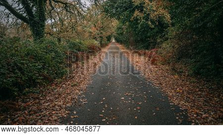 Park Of Badde Salighes And Villa Piercy, Bolotana, Sardinia