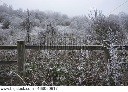 Beautiful Wintry Landscape Image Of Forest In English Countryside Covered In Hoarfrost