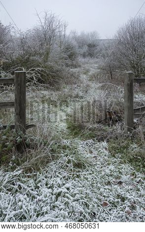 Beautiful Wintry Landscape Image Of Forest In English Countryside Covered In Hoarfrost