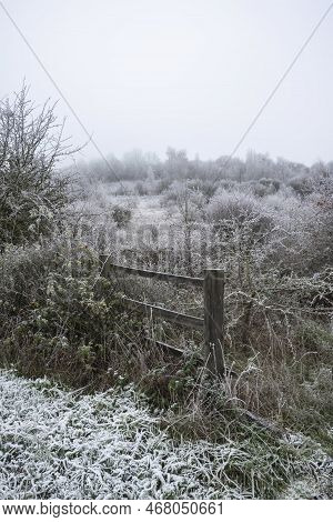 Beautiful Wintry Landscape Image Of Forest In English Countryside Covered In Hoarfrost