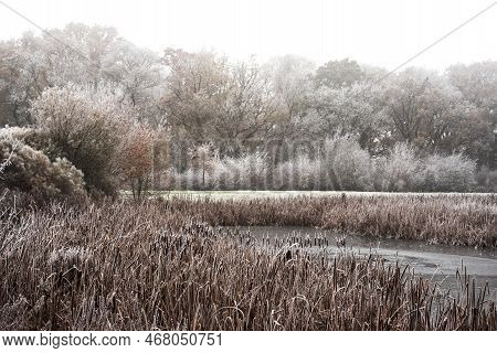 Beautiful Winter Landscape Image Of Small Lake In Front Of Forest Covered In Hoarfrost At Dawn