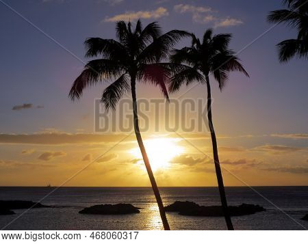 Sunsets On Ko Olina Lagoon Between Coconut Trees Over The Pacific Ocean On The Island Of Oahu, Hawai