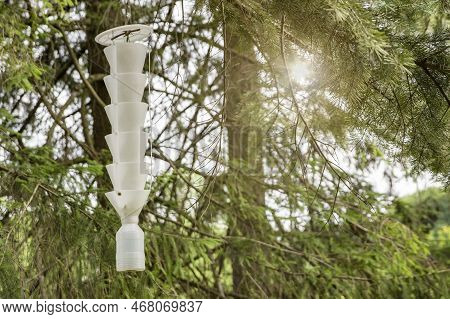 Trap For Insects And Beetles. A Trap For Pests And Insects Hangs On A Tree In The Garden. Catching A