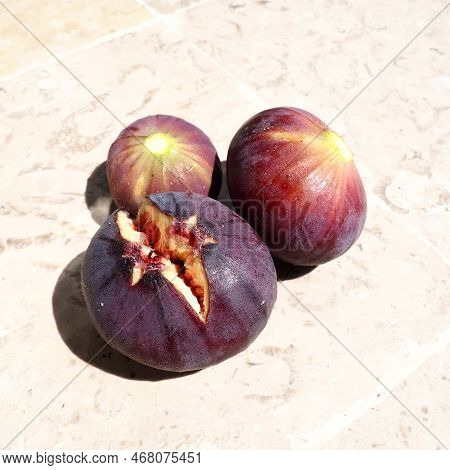 Fig Or Fig Tree, Or Common Fig Tree, Or Ficus Carica Is A Subtropical Deciduous Plant Of The Genus F