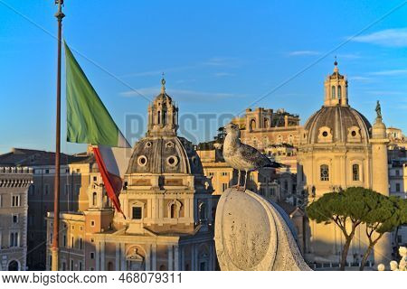View At The Basilica Ulpia From Altare Della Patria