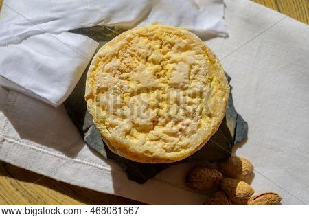 Tasting Of Local Portuguese Matured Cheese Queijo Serpa,  Setubal Area, Portugal