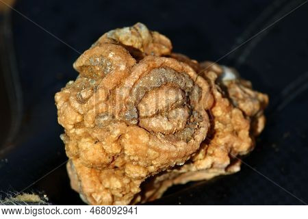 A Bizarre Chalcedony Nodule Resembling A Female Organ, Rockhounding