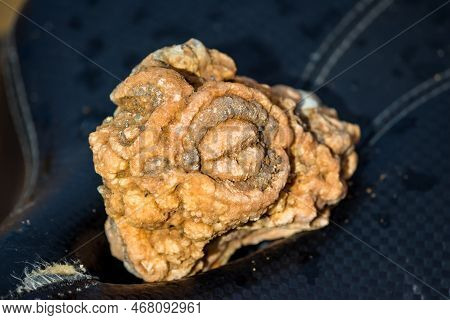 A Bizarre Chalcedony Nodule Resembling A Female Organ, Rockhounding