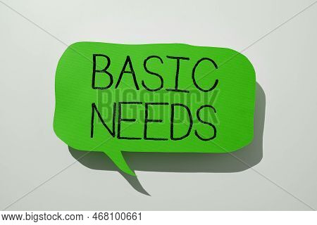 Text Caption Presenting Basic Needs. Business Idea Something That You Must Have In Order To Sustain 