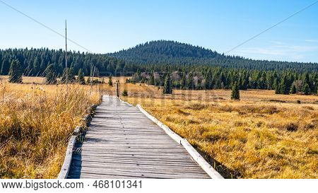 Wooden Path In Bozi Dar Peat Bog Nature Reservation On Sunny Autumn Day. Ore Mountains, Czech: Krusn