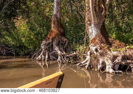 Boat Trip On An Inner Canal In The Marais Poitevin