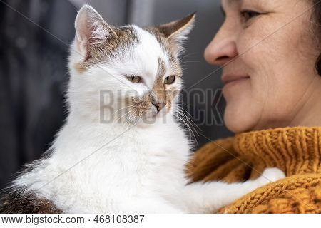 Ukraine, Khmelnytskyi, December 2022. A Woman Holds A Cute Cat In Her Arms. A Cat In The Arms Of An 