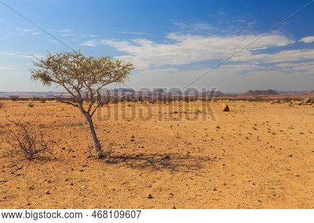Namibian Landscape, Red Ground And African Vegetation Around. Damaraland, Homelands In South West Af