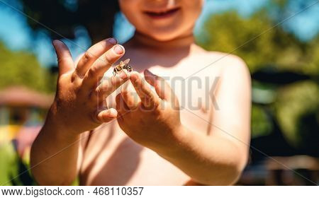 The Boy Holds A Bee In His Hand.