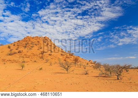 Namibian Landscape, Red Ground And African Vegetation Around. Damaraland, Homelands In South West Af