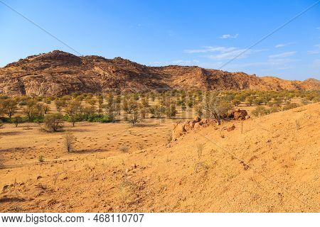 Namibian Landscape, Red Ground And African Vegetation Around. Damaraland, Homelands In South West Af