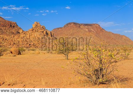 Namibian Landscape, Red Ground And African Vegetation Around. Damaraland, Homelands In South West Af