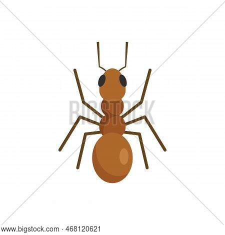 Cute Ant Icon. Flat Illustration Of Cute Ant Vector Icon For Web Design Isolated