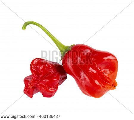 Ripe Red Chili Peppers Isolated On A White Background. Capsicum Baccatum Or Bishops Crown Pepper.