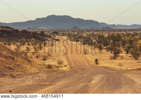 Namibian Landscape Along The Gravel Road. Red Ground And African Vegetation Around. Damaraland, Home