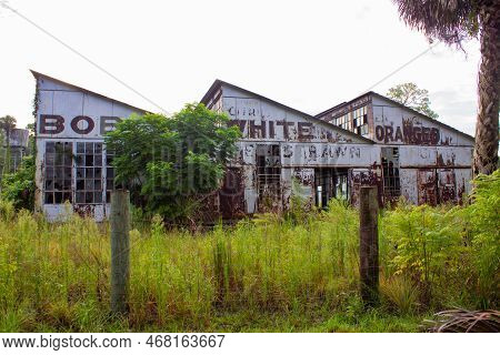 Abandoned And Run Down Orange Factory Covered In Vines And Foliage In Florida
