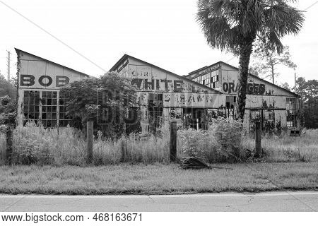 Abandoned And Run Down Orange Factory Covered In Vines And Foliage In Florida