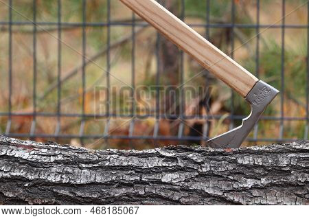 Highlander's Ax Stuck In A Tree Trunk