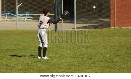 Little League Baseball