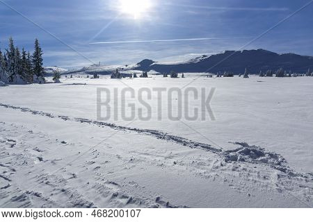 Winter Landscape Of Vitosha Mountain, Bulgaria